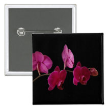 Pink Dendrobium Orchid - Customised Flowers