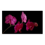 Pink Dendrobium Orchid on Black - Customised Business Card