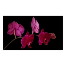 Pink Dendrobium Orchid on Black - Customised Business Card