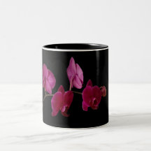 Pink Dendrobium Orchid on Black - Customised Mug