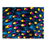 Pink Eyes ~ Postcard Modern Retro Abstract postcards