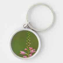 Pink False Dragonhead Flower Key Chain