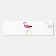 Pink Flamingo Bumper Stickers
