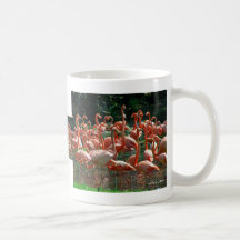 Pink Flamingo group, lots of flamingoes picture! Coffee Mug