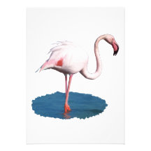 Pink Flamingo in Blue Pool of Water Personalised Invites