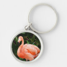 Pink Flamingo  Keychain
