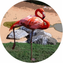 Pink Flamingo Photo Cut Out