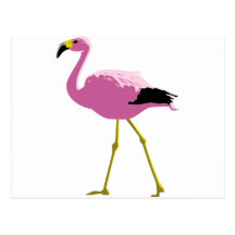 Pink Flamingo Post Cards