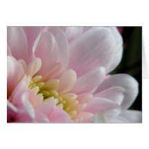 Pink Floral Easter Wishes Note Card