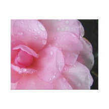 Pink flower canvas canvas print