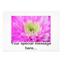 Pink Flower Closeup Announcements