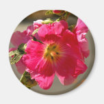 Pink Flower Fridge Magnet