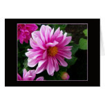 Pink Flower Greeting Card