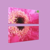 Pink Flower in two halves canvas prints