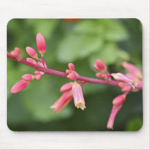 Pink flower mouse pad.