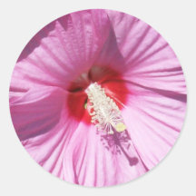 Pink Flower Sticker