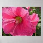 Pink Flower Tall Posters