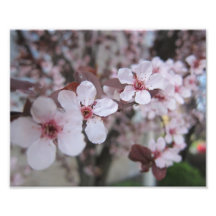 Pink Flowers Art Photo