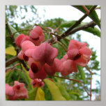Pink flowers poster