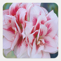 Pink Flowers Stickers