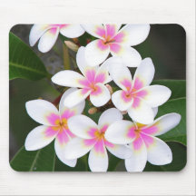 pink frangipani mouse pad