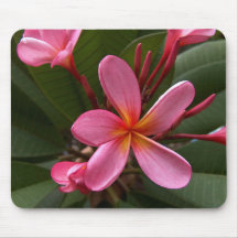 Pink Frangipani Mouse Pad