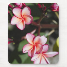 Pink Frangipani Mouse Pad