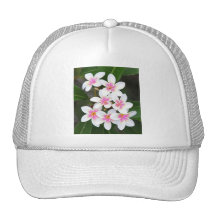 pink frangipani trucker hat