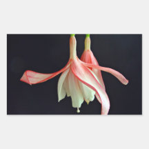 Pink fuschia flower rectangular stickers