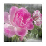 Pink Garden Rose Tile