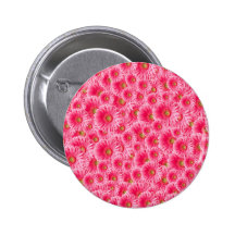 Pink Gerber Daisies