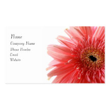 Pink Gerber Daisy Business Card