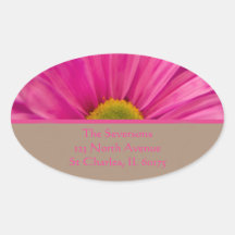 Pink Gerber Daisy Return Address Round Sticker