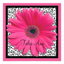 Pink Gerbera Daisy Bat Mitzvah Invitation