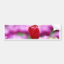 Pink Gold Tulip Floral Landscape Realism Collectio Bumper Sticker