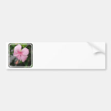 Pink Hibiscus Bumper Sticker