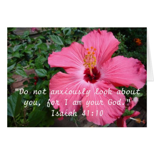 Pink Hibiscus with Inspirational Bible Verse Zazzle