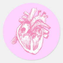 Pink Human Heart Stickers