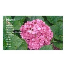 Pink Hydrangea Business Cards
