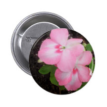 Pink Impatiens Flower Button