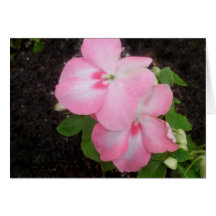 Pink Impatiens Flower Card
