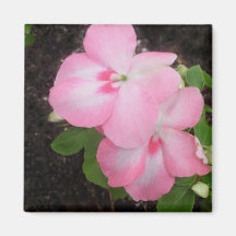 Pink Impatiens Flower Magnet