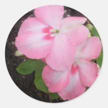 Pink Impatiens Flower Sticker