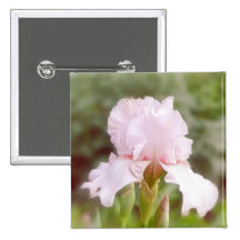 Pink Iris - Vanity