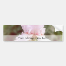 Pink Iris - Vanity Bumper Sticker