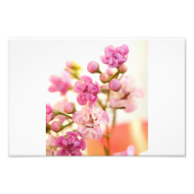 Pink Kisses Photographic Print