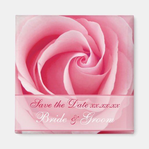 Pink Lady Rose Save The Date Magnet