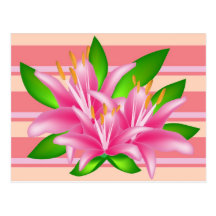 Pink Lilies Bouquet on Stripes Post Card
