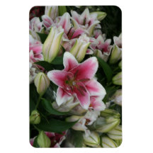 Pink lily rectangle magnet