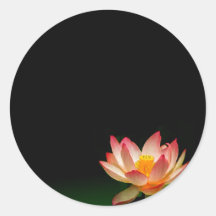 Pink lotus sticker, personalise it